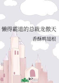 懒得霸道的总裁龙傲天
