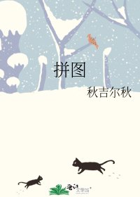 拼图
