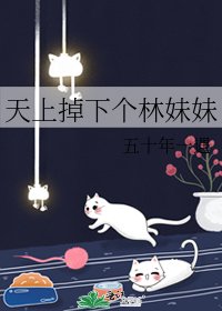 天上掉下个林妹妹