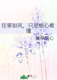 往事如风,只是痴心难懂