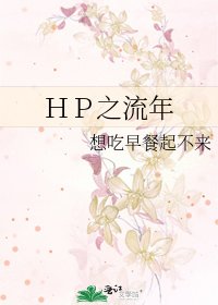 HP之流年