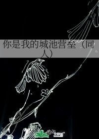你是我的城池营垒(同人)