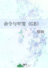 命令与牢笼(GB)