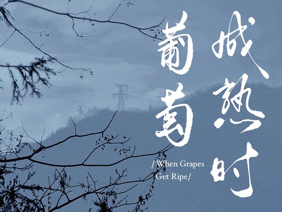 葡萄成熟时