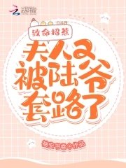 致命招惹:夫人又被陆爷套路了