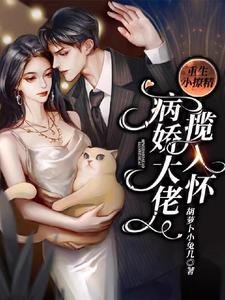 重生小撩精:病娇大佬揽入怀