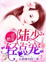 一诺婚深:陆少,轻点宠