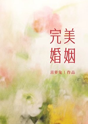 完美婚姻