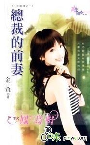 总裁的前妻(二次姻缘之一)