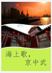 (盗墓笔记黑花同人)海上歌,京中武