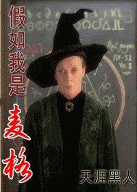 (HP同人)假如我是麦格