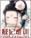 贼妃难训