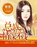 总裁,情深不浅