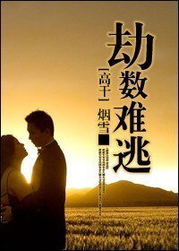 劫数难逃(高干)