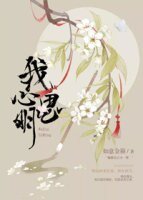 (BL/楚留香手游同人)我心思明