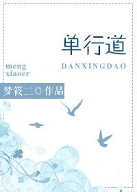 单行道/单行道,逆行爱