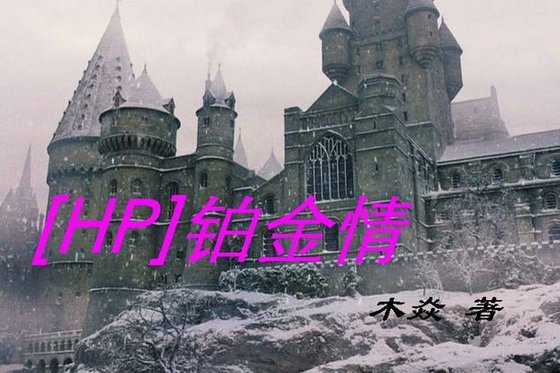 (HP同人/BG)鉑金情