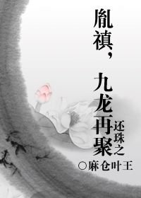 (BL/还珠同人)还珠之胤禛,九龙再聚
